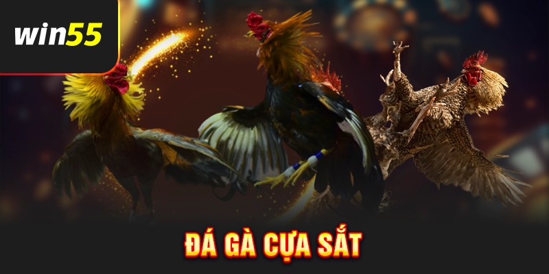 Đá gà cựa sắt