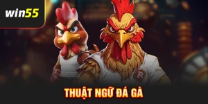Thuật ngữ đá gà