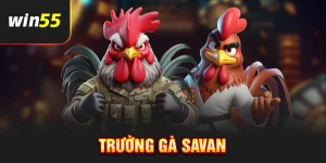 Trường gà Savan