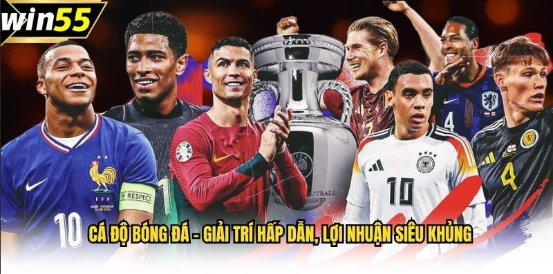 Cá độ bóng đá - Giải trí hấp dẫn, lợi nhuận siêu khủng